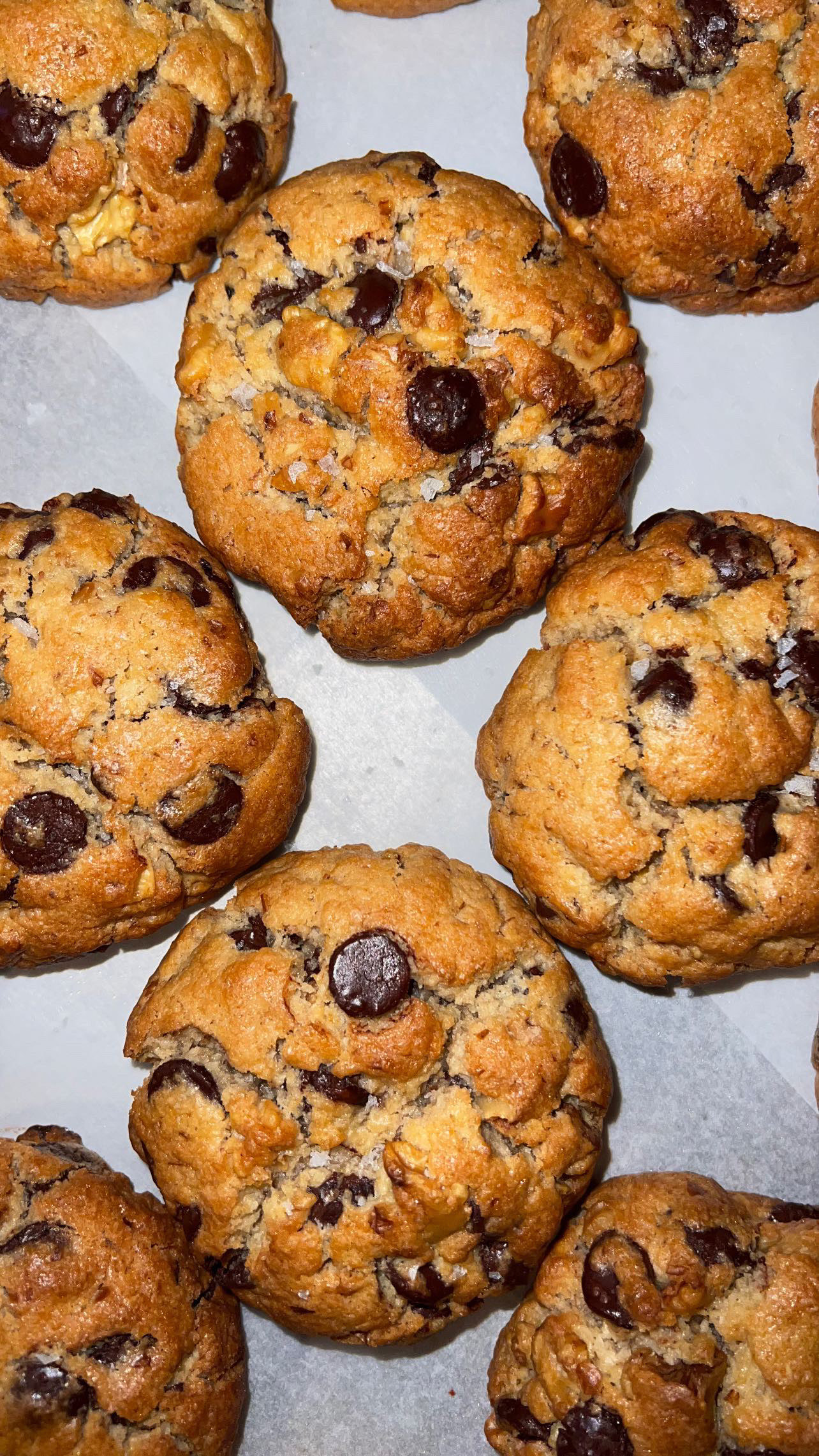 Walnut chocolate chip cookies homemade by professional baker Malaysia